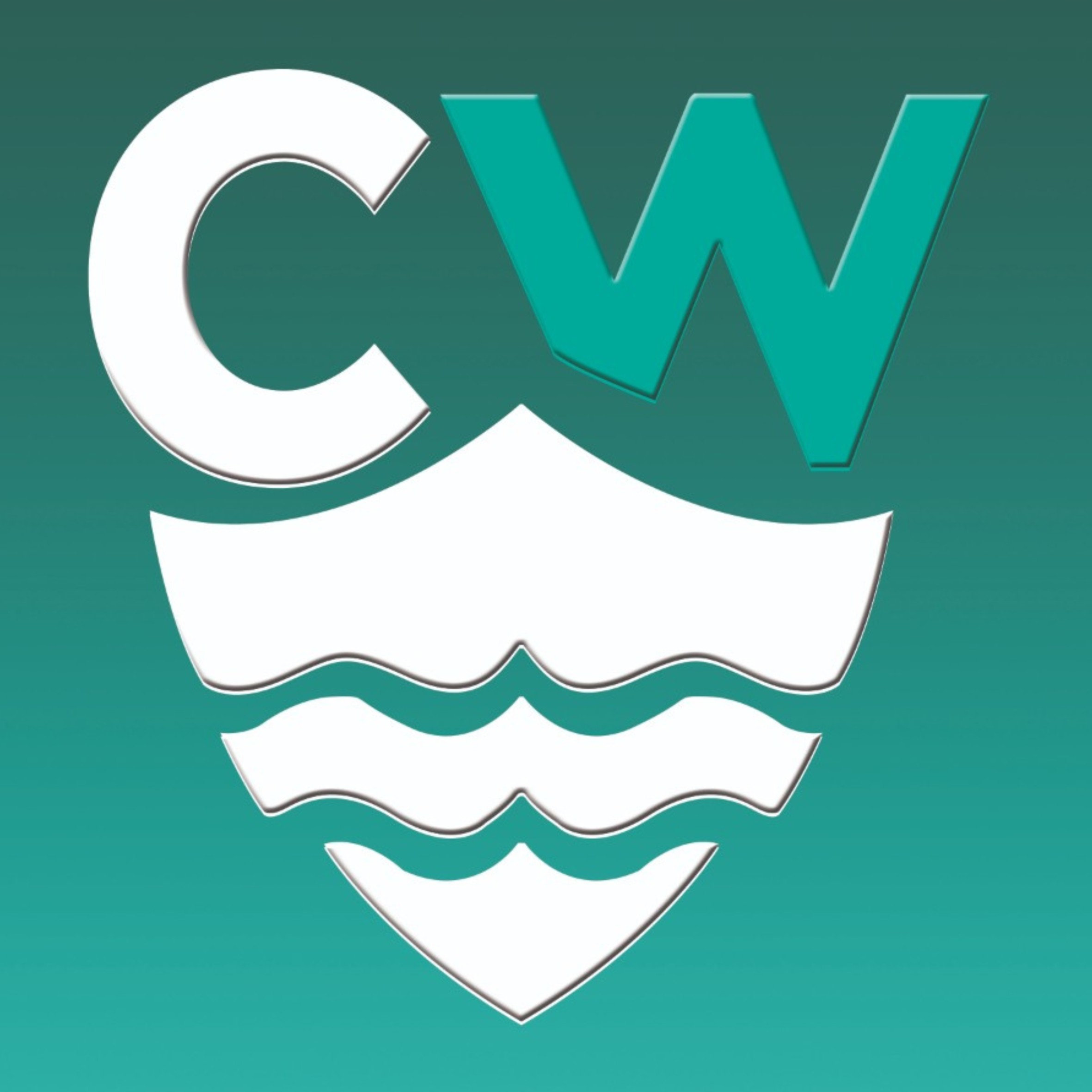 CleanWake Ship Management
